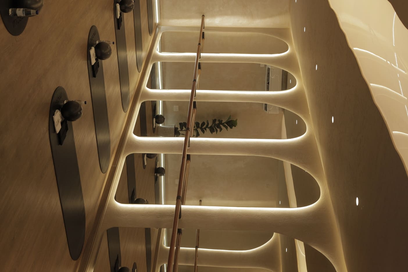 Imagen del estudio Áurea Barre