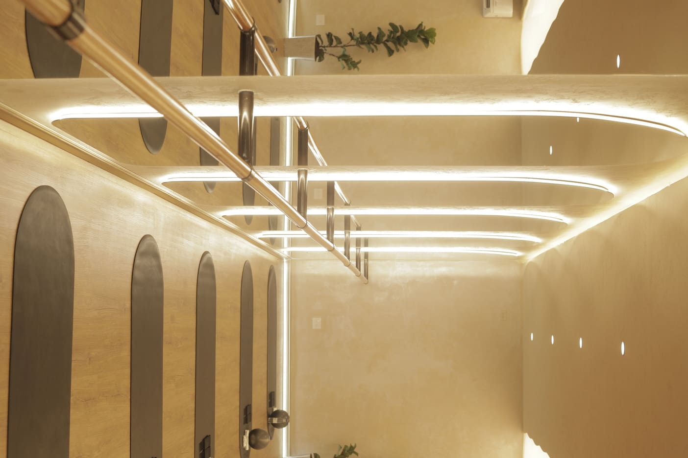 Imagen del estudio Áurea Barre